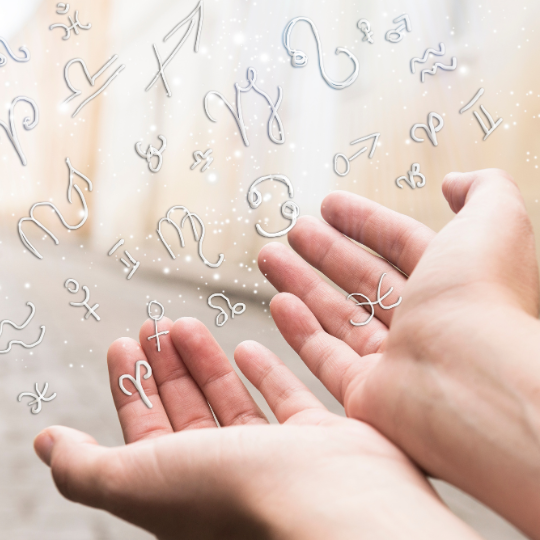 Website Article Photos (1)